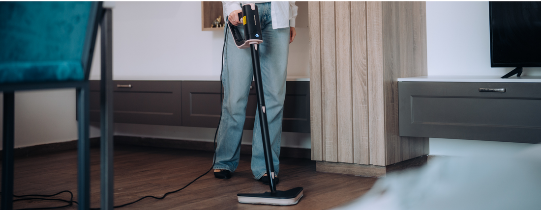 Stoomreiniger met of zonder snoer kopen